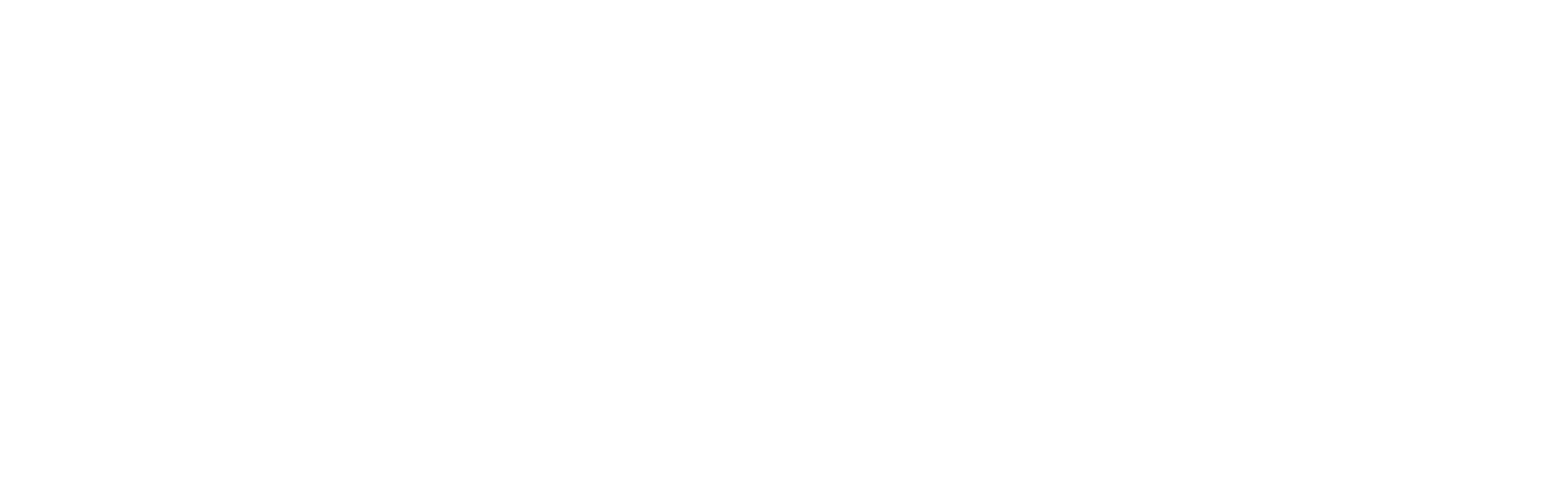 Nexor Talent logo